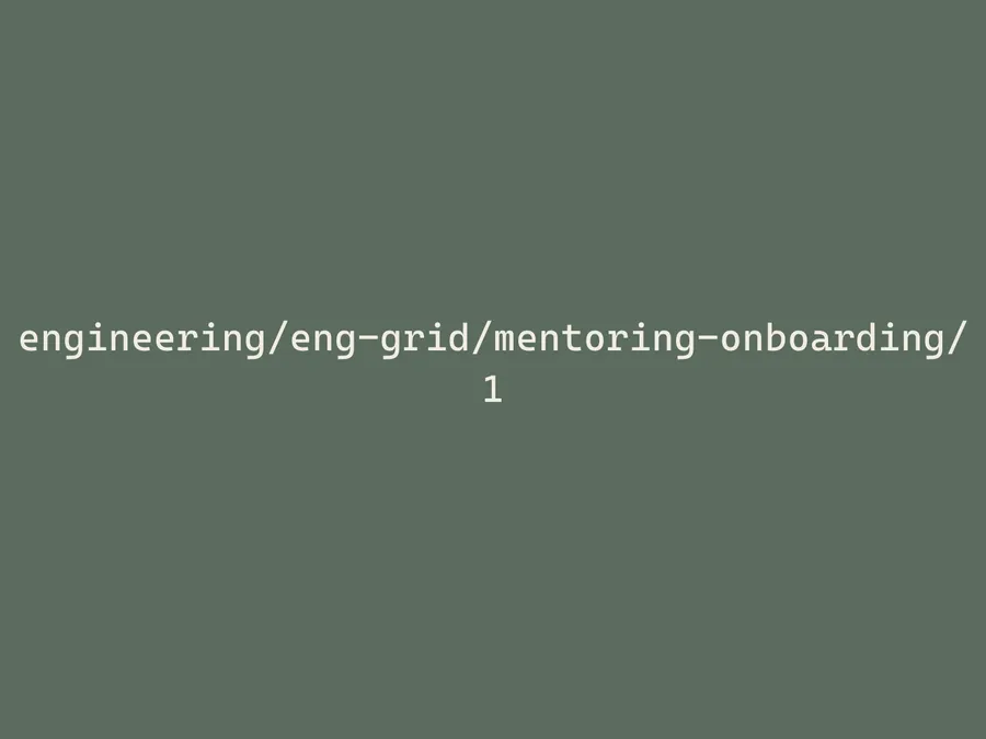 Mentoring session